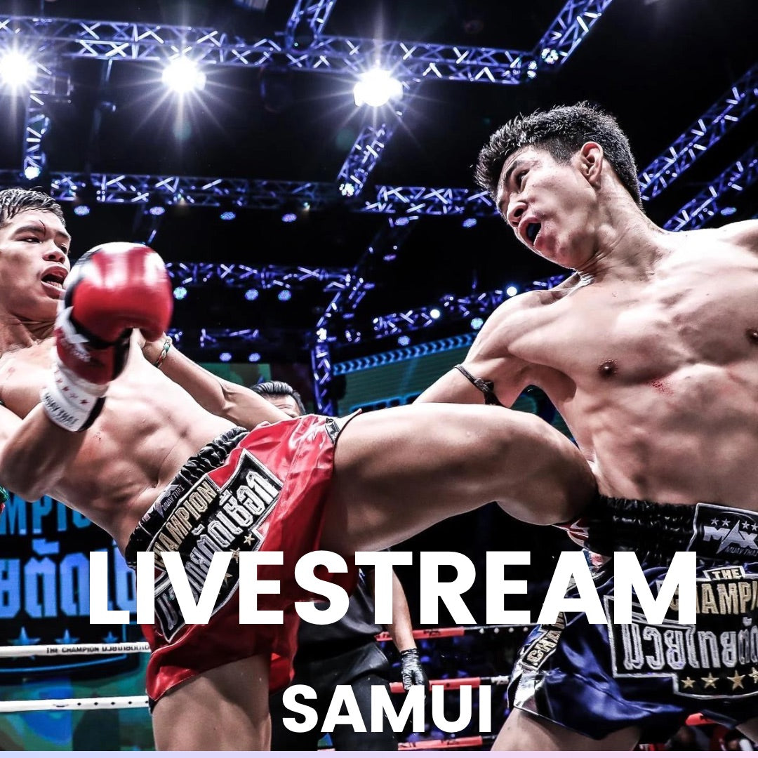 FIGHT EVENT (SAM)