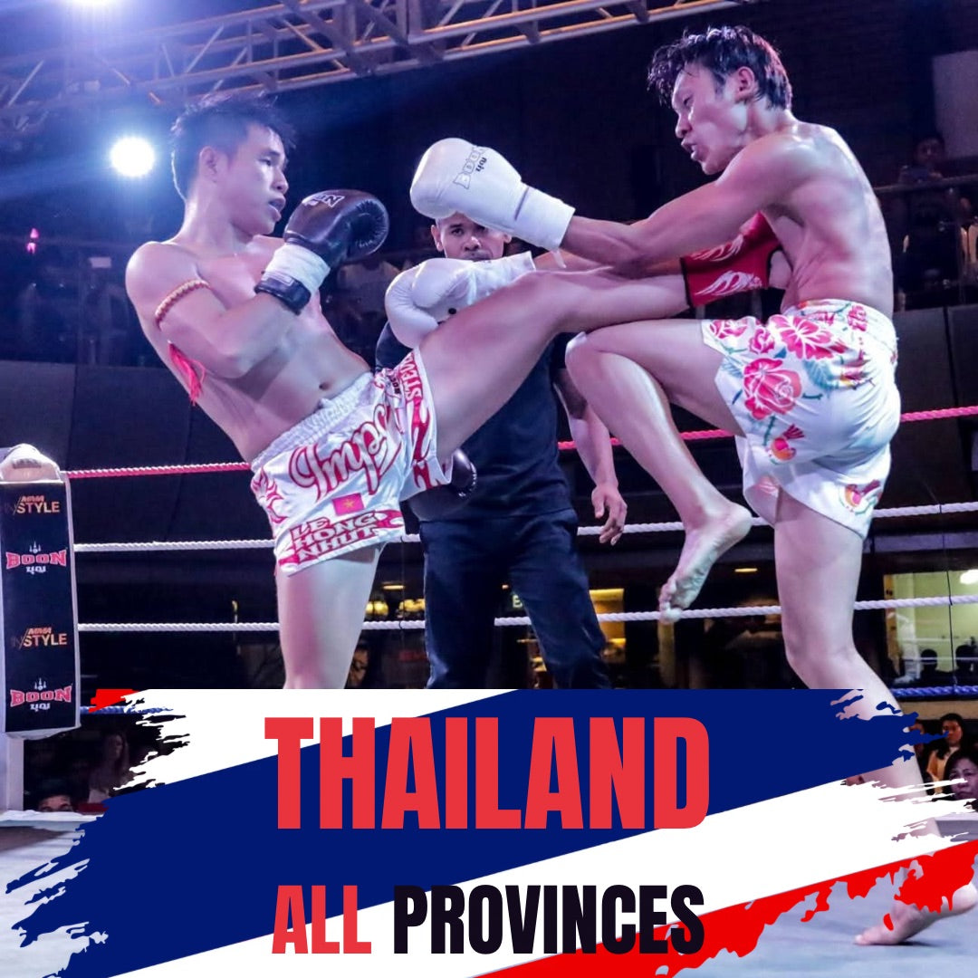 FIGHT IN THAILAND