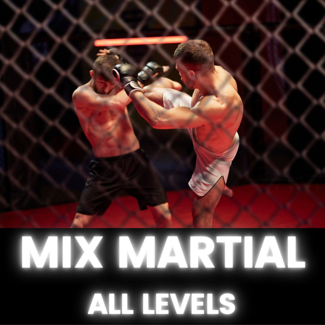 MMA - ALL LEVELS