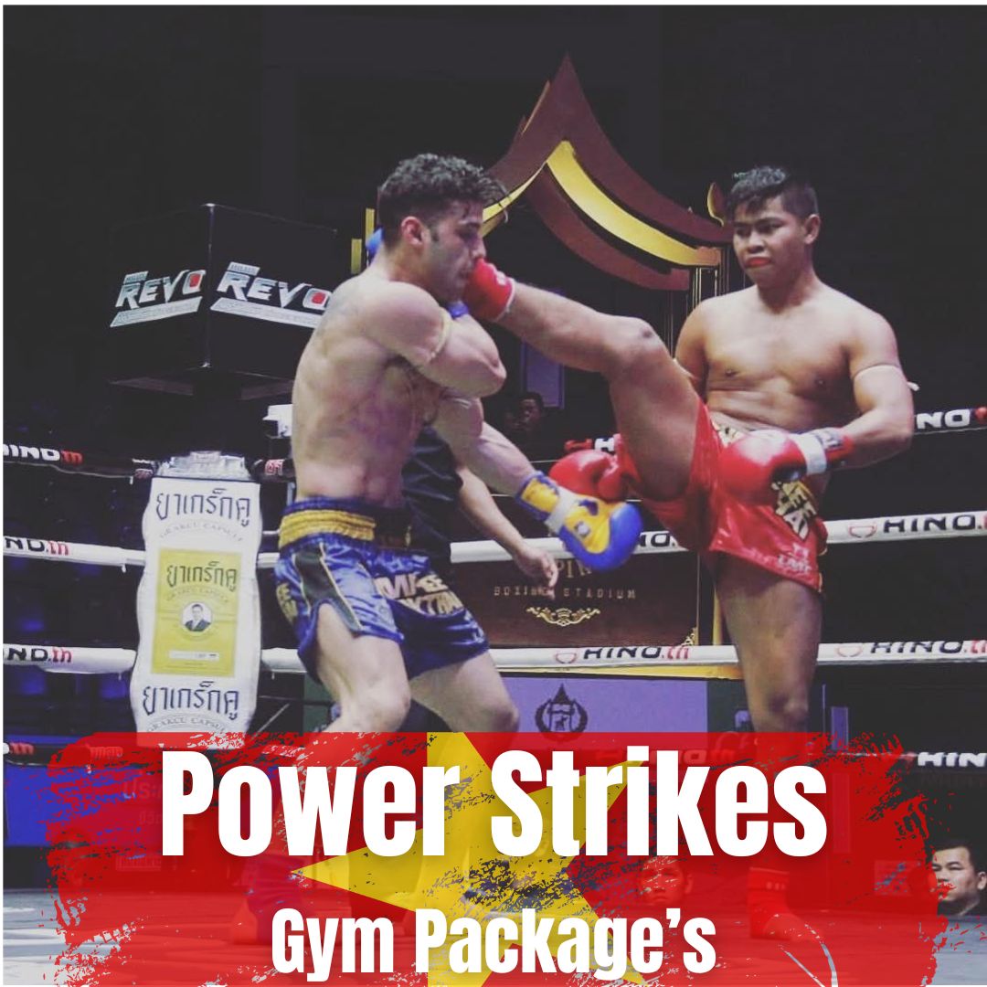 POWER IN VIETNAM