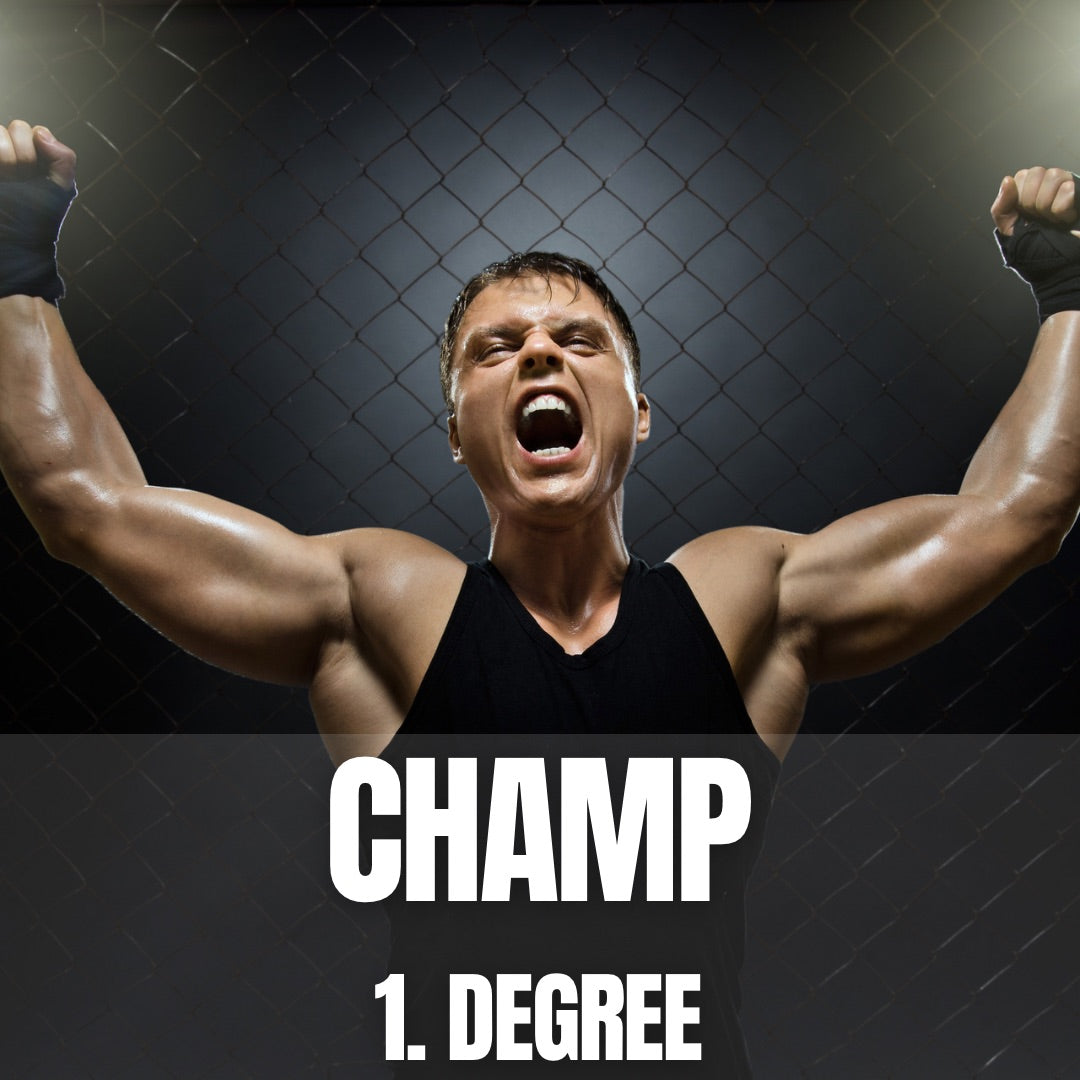 FIGHT DEGREE