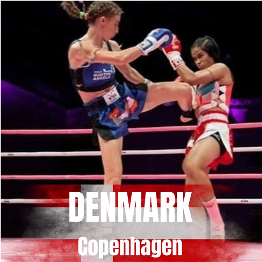 FIGHT IN DENMARK