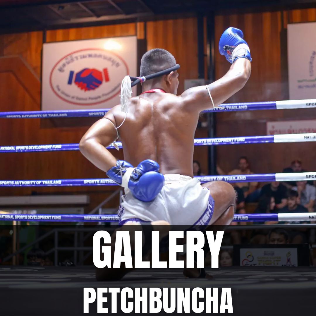 WHAT YOU WILL MEET (PETCH)