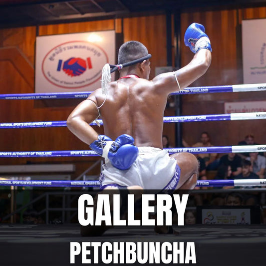 WHAT YOU WILL MEET (PETCH)
