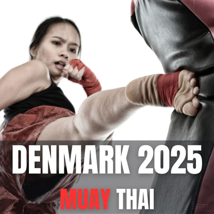 DENMARK 2025