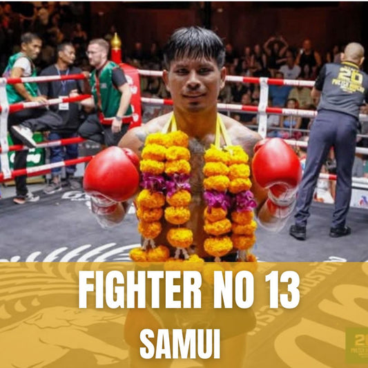 FIGHTER NO 13