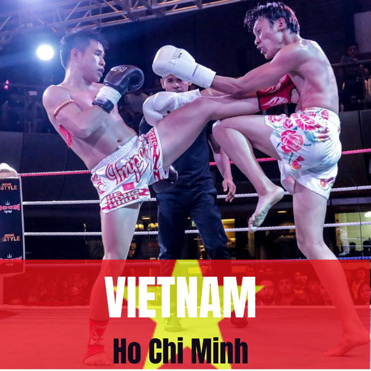 FIGHT IN VIETNAM