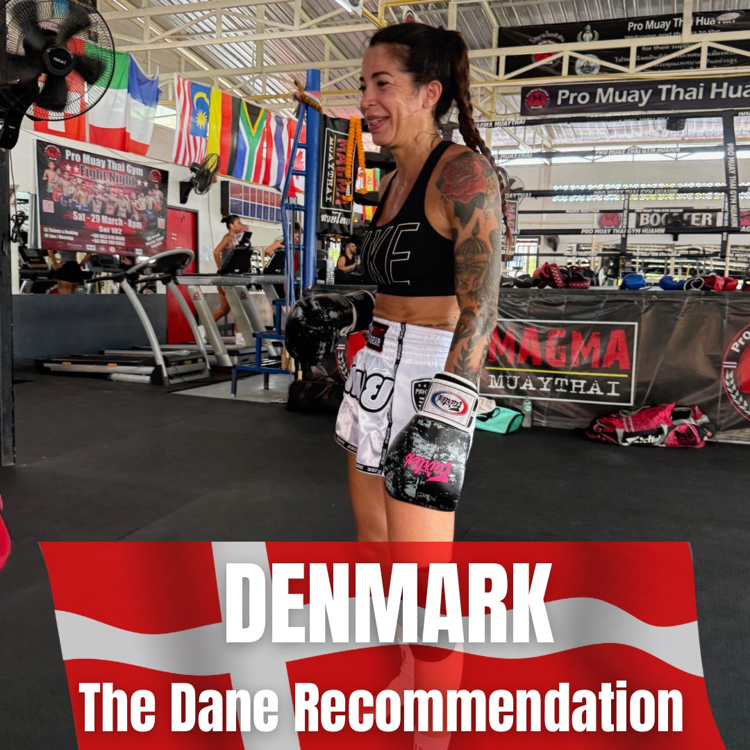 DANE RECOMMADATION