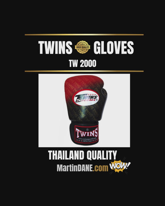 TWIN GLOVES (1)